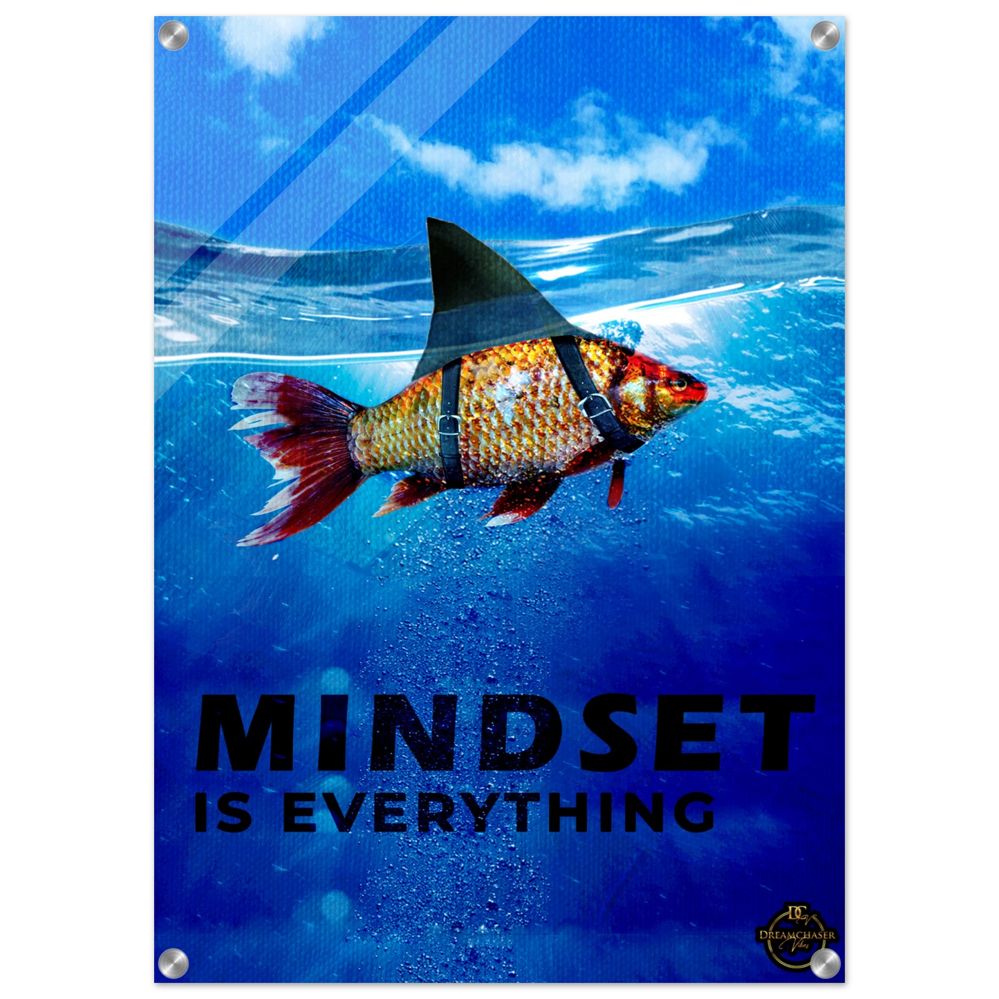 28c4d59d-bae5-430d-9659-df5a79f15149