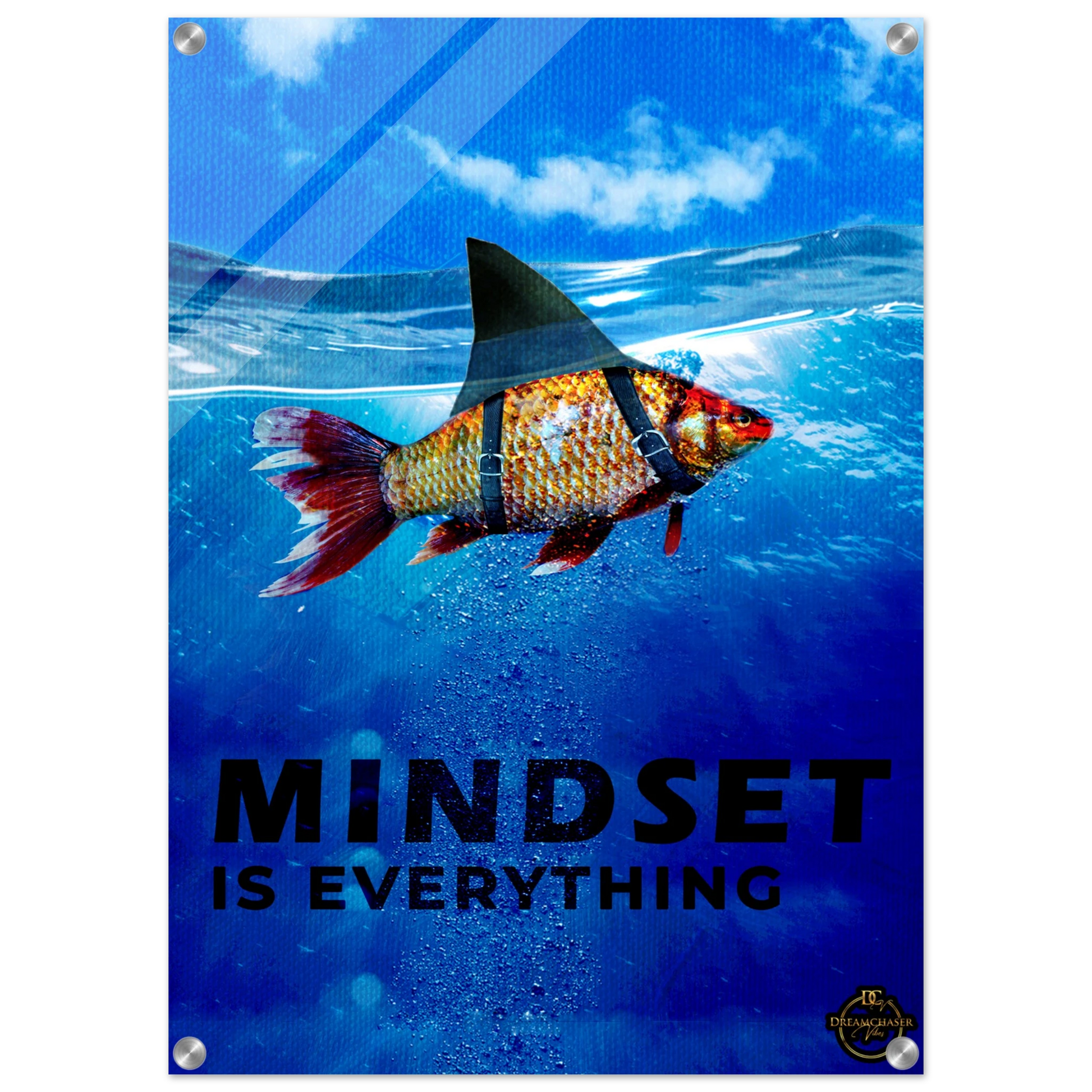 28c4d59d-bae5-430d-9659-df5a79f15149