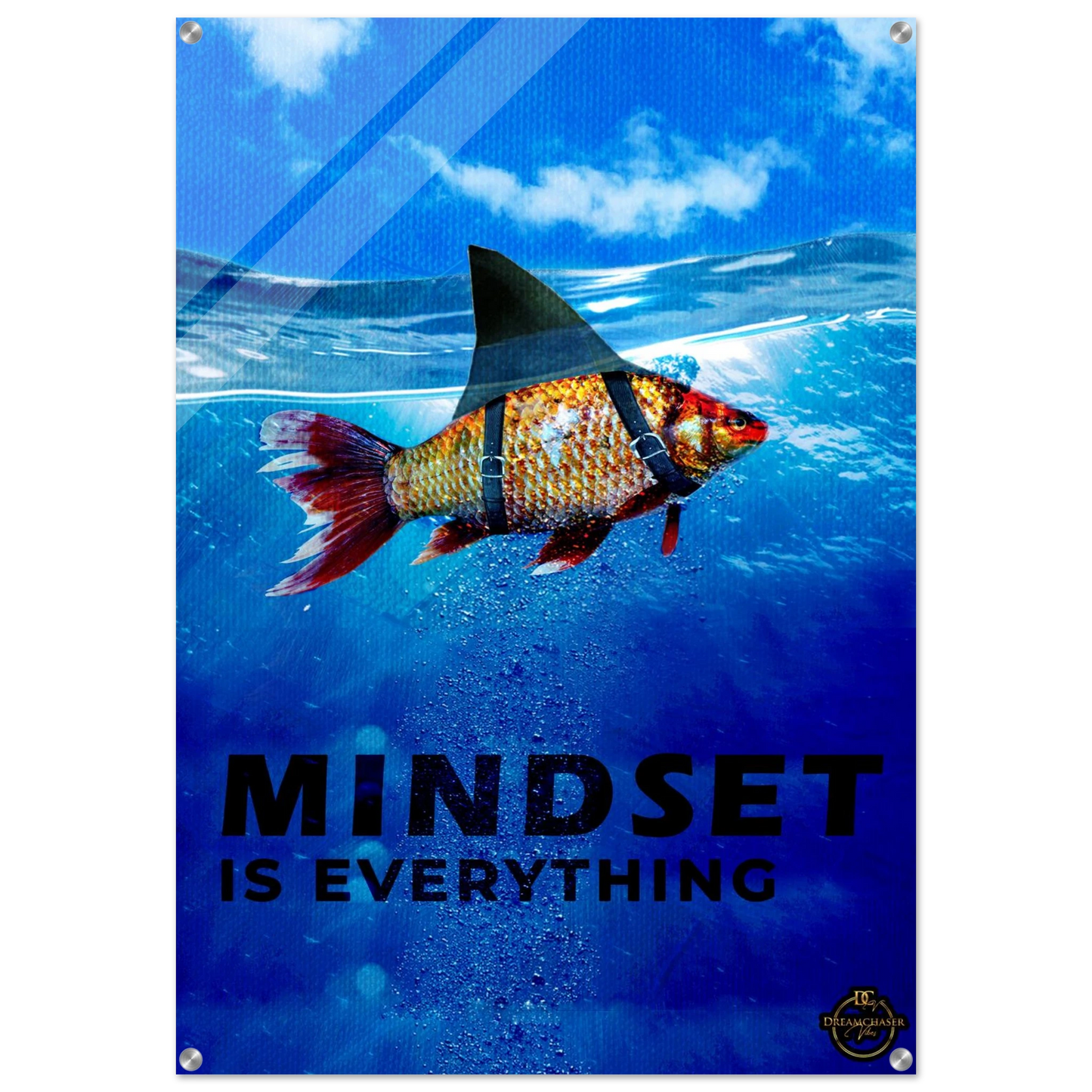 52d53606-867e-4188-b313-e70de2c4353c