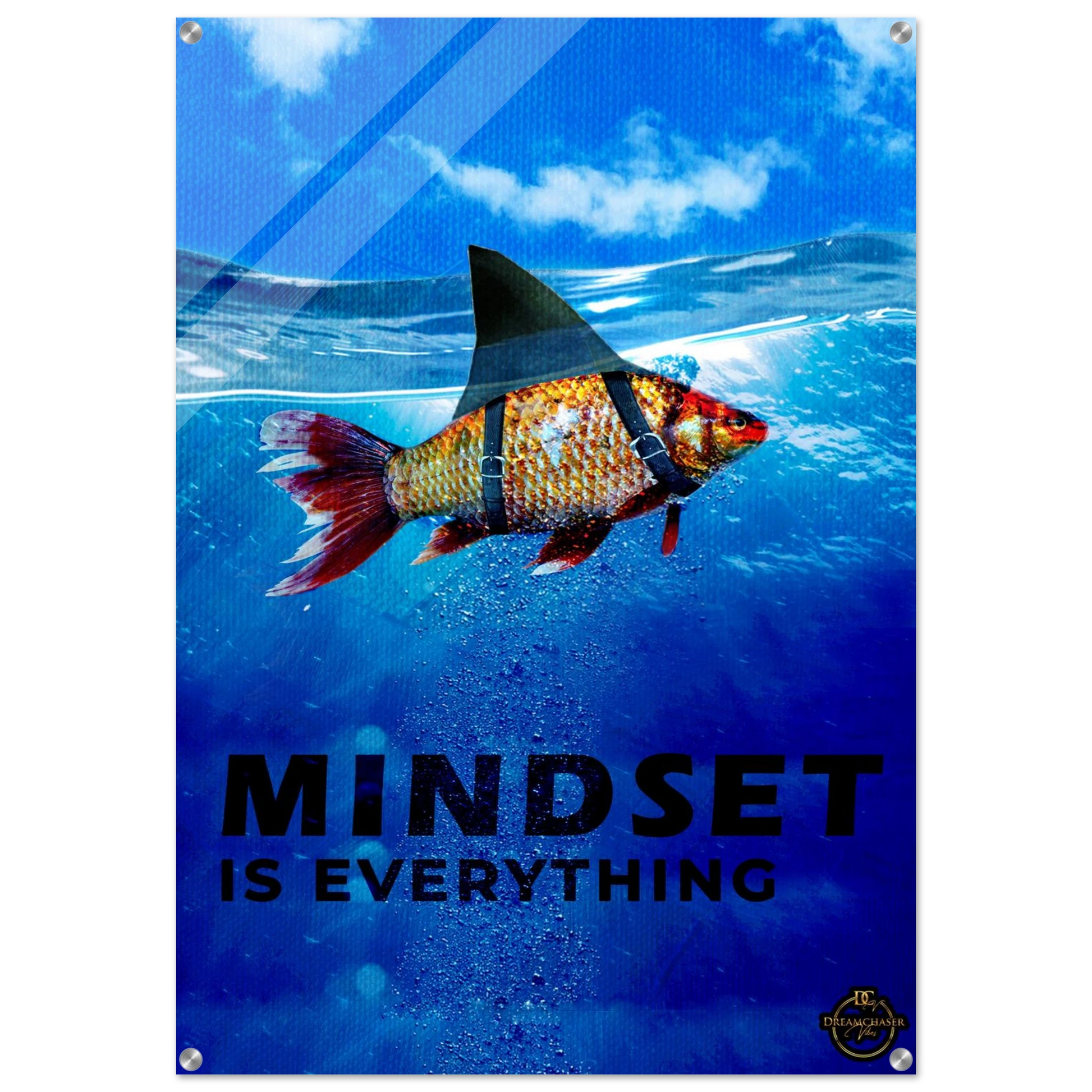 52d53606-867e-4188-b313-e70de2c4353c