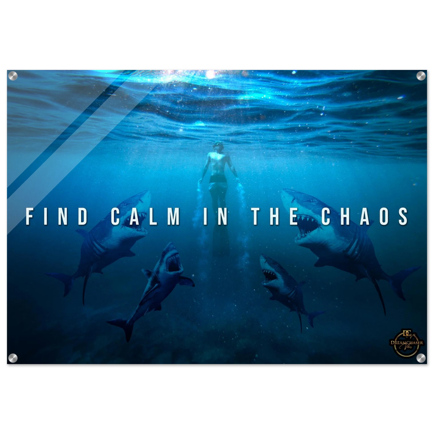 8d0b13a1-a306-4b58-9951-fd94e4e0c609