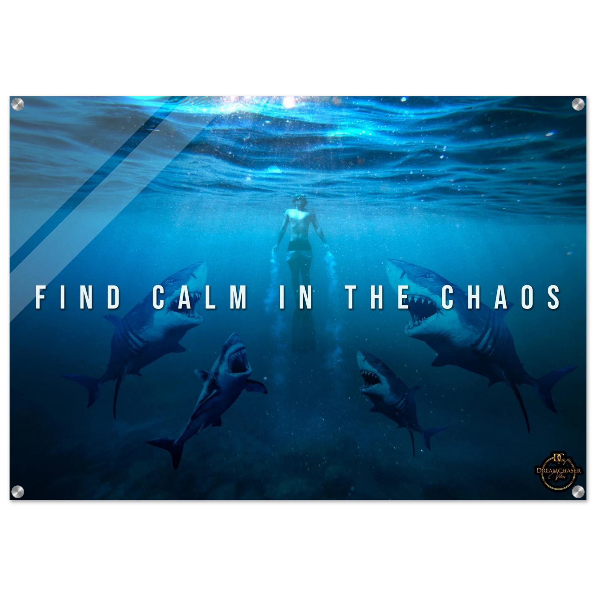 8d0b13a1-a306-4b58-9951-fd94e4e0c609