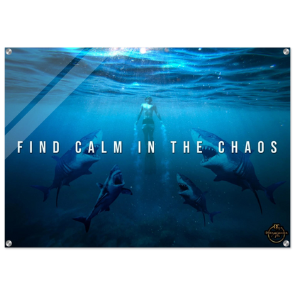 8d0b13a1-a306-4b58-9951-fd94e4e0c609