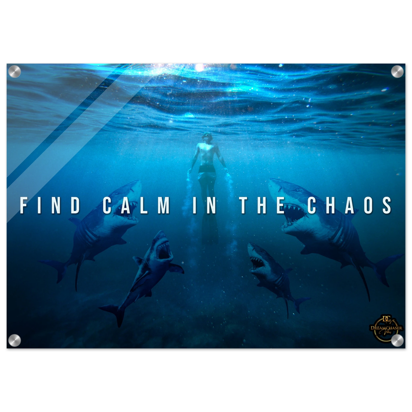 c1c92933-92b9-4063-949a-2d6970753667